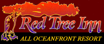 Red Tree Inn